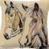 Capa de Almofada Caballos - 45x45m