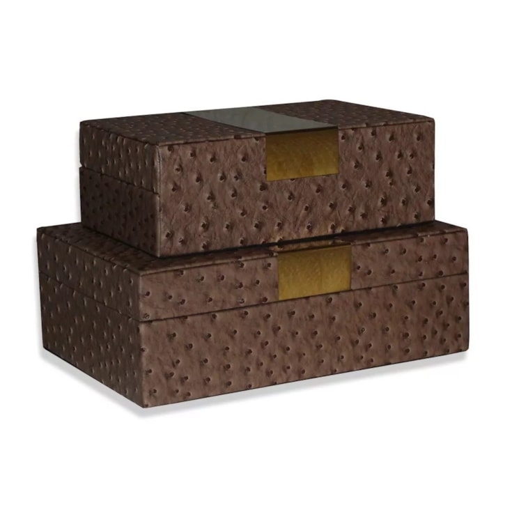 Conjunto Caixas Ostrich Bege - 2 Pçs