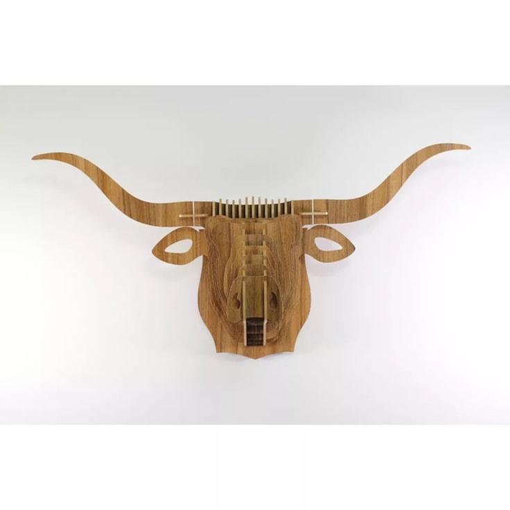 Headwall Touro - 93x46cm