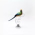 Pássaro Macaw Bird Grande - 40x43,5cm