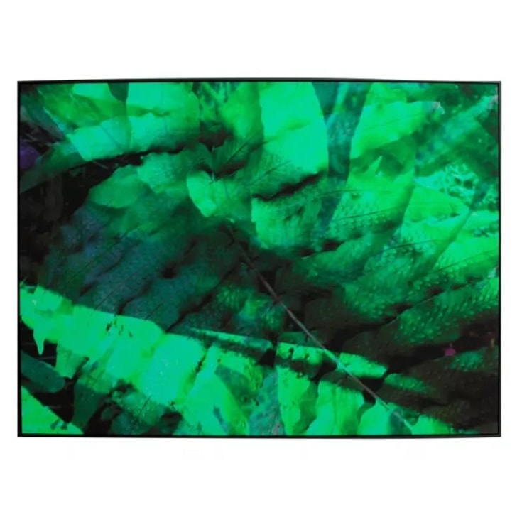 Quadro Tela Fine Art Minimal Samambaia II