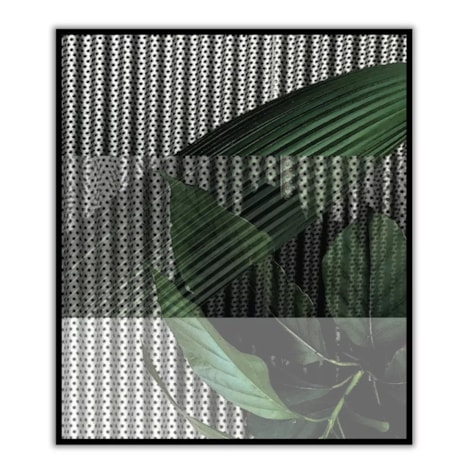 Quadro Tela Palude - Coleção Bianco por Lisi Wendel