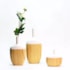 Vaso Noyon Amadeirado Claro Grande 18x40cm