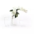 Vaso Simplic Linc Branco 25x19cm