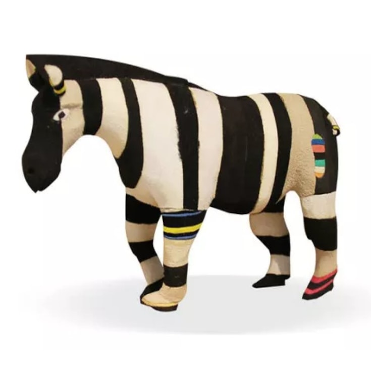 Zebra Pundamilia Africana Ocean Sole Média